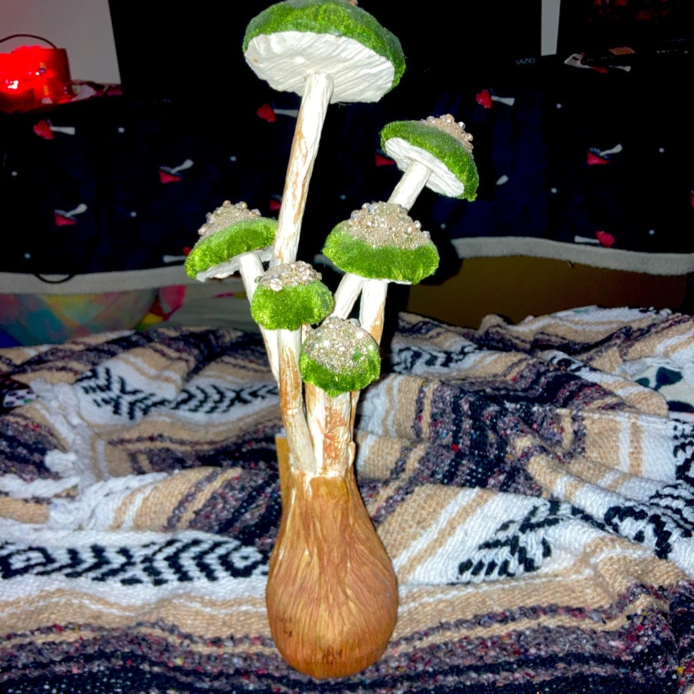 Hand made mushrooms🍄